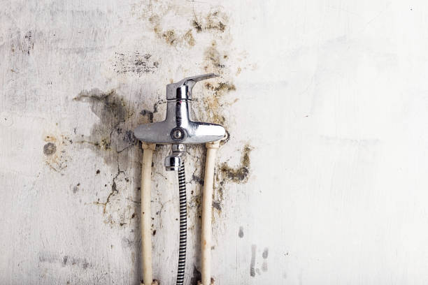 Best Health and Safety Mold Remediation in Mchenry, IL